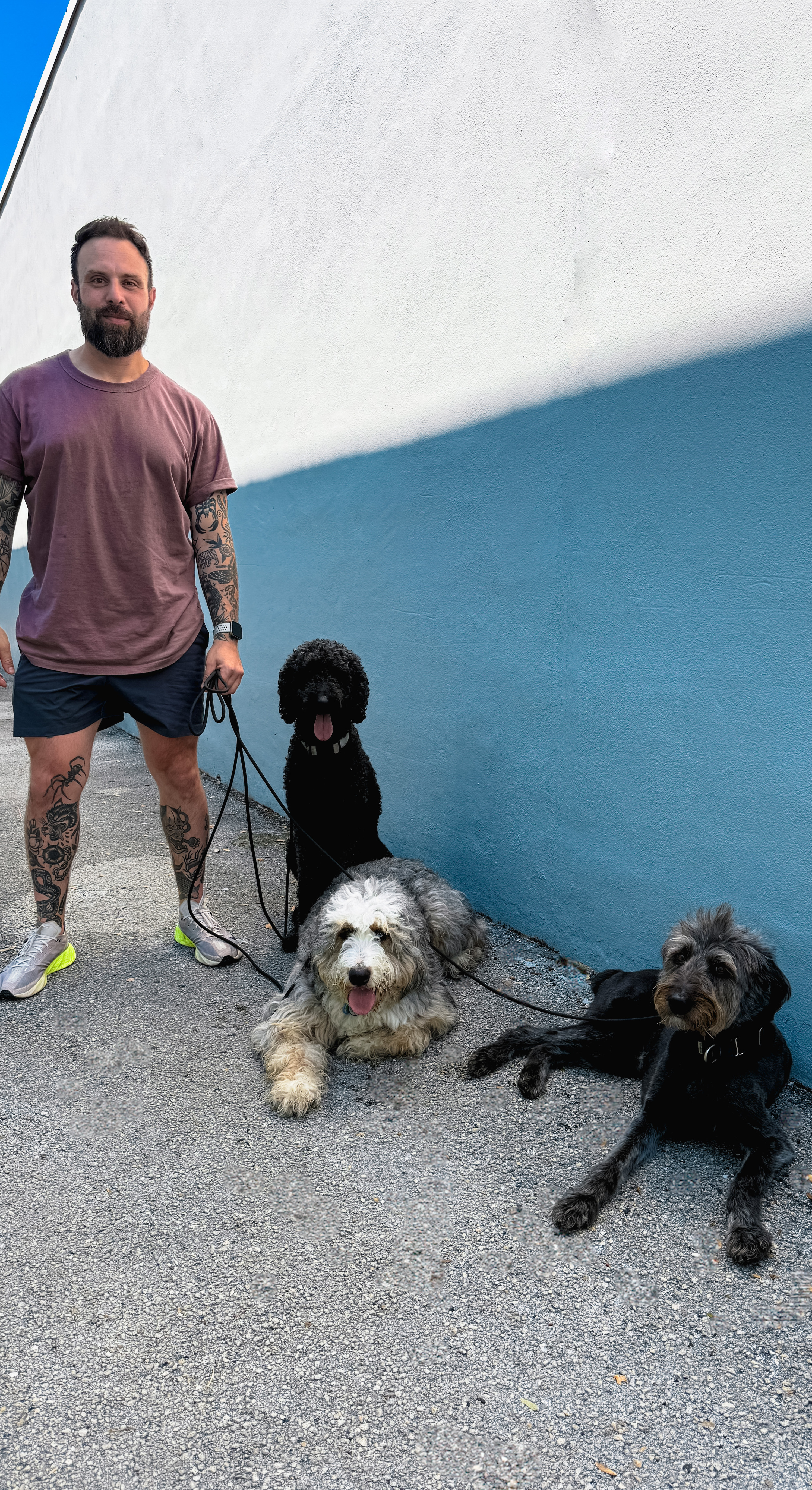 Kristopher Fonte — Pack Protocol dog trainer Miami